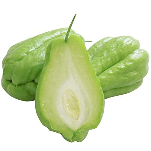 Steelwingsf Chayote