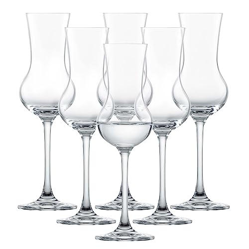 Schott Zwiesel Schnapsglas