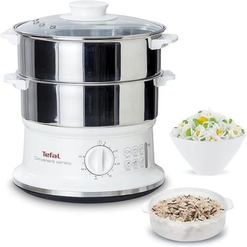 Tefal Elektrischer Dampfentsafter