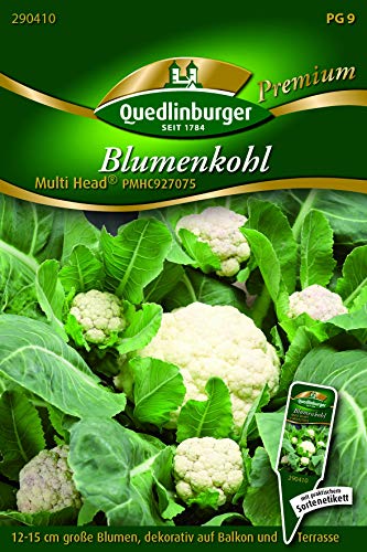 Quedlinburger Saatgut Blumenkohl Kalorien