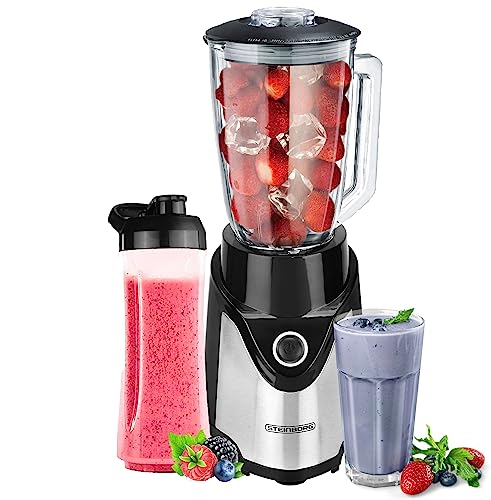 Steinborg Smoothie Mixer