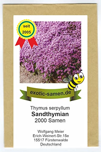 Exotic-Samen Roter Thymian