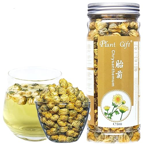 Plant Gift Chrysanthemen Tee