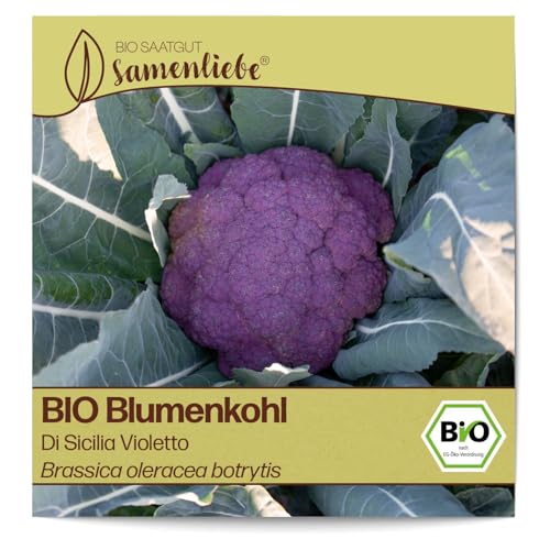 Samenliebe Blumenkohl Kalorien