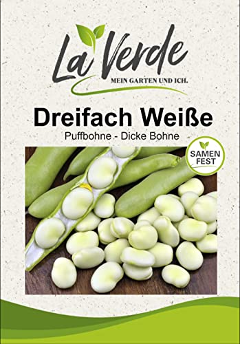 La Verde Mein Garten Und Ich. Bohnen Einfrieren